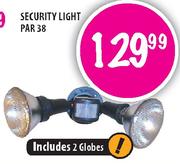 Security Light PAR 38
