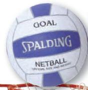 Spalding Goal Net Ball