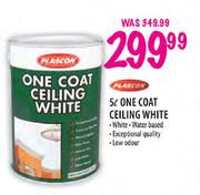 Plascon One Coat Ceiling White-5L