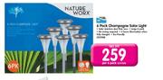 Nature Worx 6 Pack Champagne Solar Light