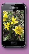 Samsung Galaxy Pocket Plus-On uChoose Flexi 100