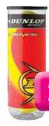 Denlop Club All Surface Tennis Ball -Can of 3