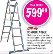 Gravity Wonder Ladder