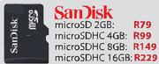 SanDisk microSD-2GB