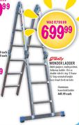 Gravity Wonder Ladder 