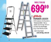 Gravity Wonder Ladder