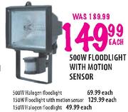 150W halogen Floodlight-Each