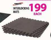 Trojan Interlocking Mats-Each
