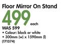 Floor Mirror On Stand 300x1590mm-Each