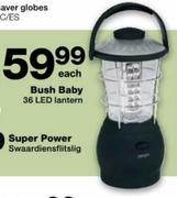 Brush Baby 36 LED Lantern-Each