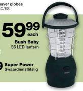 Bush Baby 36 LED Lantern-Each