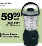 Bush Baby 36 LED Lantern Each