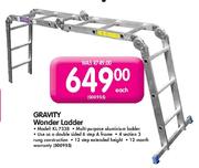 Gravity Wonder Ladder (KL7338)-Each