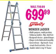 Gravity Wonder Ladder-Each