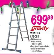Gravity Wonder Ladder