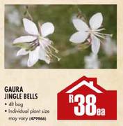 Gaura Jingle Bells