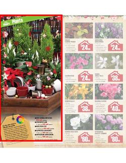 Builders Warehouse : Do a little something this Christmas (20 Nov - 24 Dec), page 18