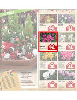 Builders Warehouse : Do a little something this Christmas (20 Nov - 24 Dec), page 18