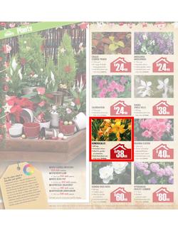 Builders Warehouse : Do a little something this Christmas (20 Nov - 24 Dec), page 18