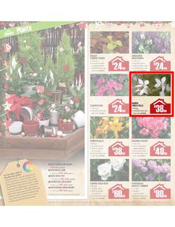 Builders Warehouse : Do a little something this Christmas (20 Nov - 24 Dec), page 18