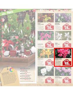 Builders Warehouse : Do a little something this Christmas (20 Nov - 24 Dec), page 18