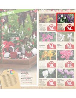 Builders Warehouse : Do a little something this Christmas (20 Nov - 24 Dec), page 18