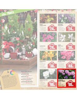 Builders Warehouse : Do a little something this Christmas (20 Nov - 24 Dec), page 18