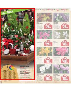 Builders Warehouse : Do a little something this Christmas (20 Nov - 24 Dec), page 18