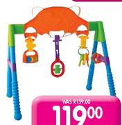 Teddy Playgym Each