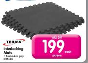 Trojan Interlocking Mats Each