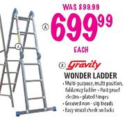 Gravity Wonder Ladder Each