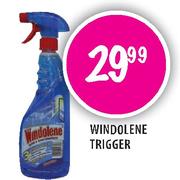 Windolene Trigger