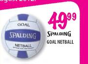 Spalding Goal Netball