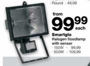 Smartglo Halogen Floodlamp with Sensor-500W