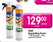 Fixit Expanding Foam-825ml
