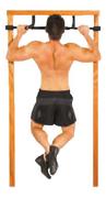 Trojan Extreme Door Gym