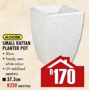 Addis Small Rattan Planter Pot-30cm