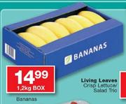 Bananas Box-1.2Kg 