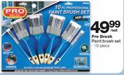 Pro Brush Paint Brush Set-10 Piece Per Set