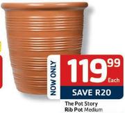 The Pot Story Rib Pot Medium