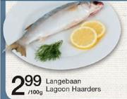 Langebaan Lagoon Haarders-Per 100gm