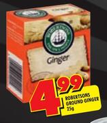 Robertsons Ground Ginger-25g