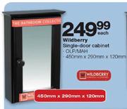 Wildberry Single-Door Cabinet  (450mm x 290mm x 120mm)-Each