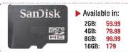 SanDisk MicroSD Card-2GB