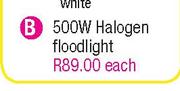 Eurolux 500W Halogen Floodlight(B)-Each