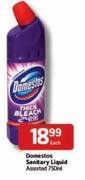 Domestos Sanitary Liquid Assorted-750ml Each