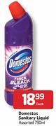 Domestos Sanitary Liquid-750ml Each