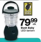 Bush Baby LED-Lantern-Each