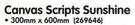 Canvas Scripts Sunshine-300 x 600mm Each