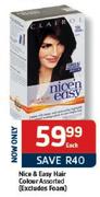 Nice & Easy Hair Colour(Excludes Foam) Each